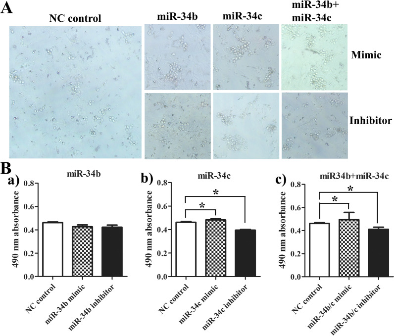 MiR-34b/c play a role in early sex differentiation of Amur sturgeon, Acipenser schrenckii.