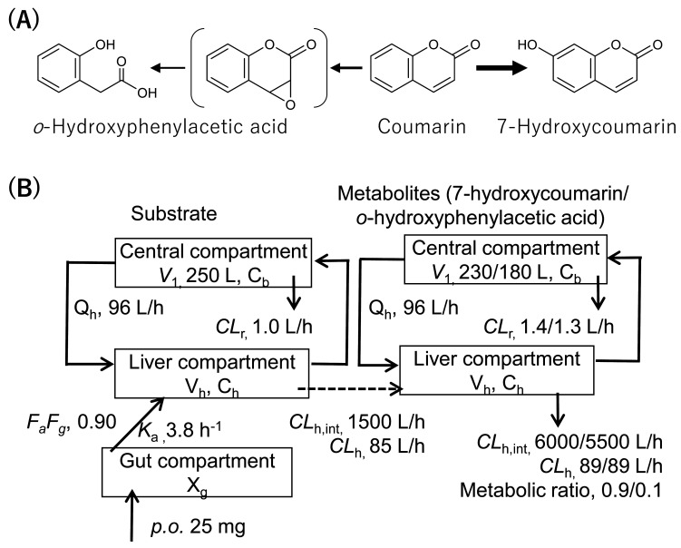 Combined Risk Assessment of Food-derived Coumarin with <i>in Silico</i> Approaches.