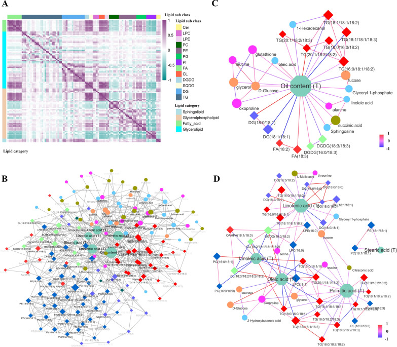 4D genetic networks reveal the genetic basis of metabolites and seed oil-related traits in 398 soybean RILs.