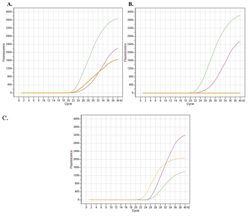 Designing In-House SARS-CoV-2 RT-qPCR Assay for Variant of Concerns.