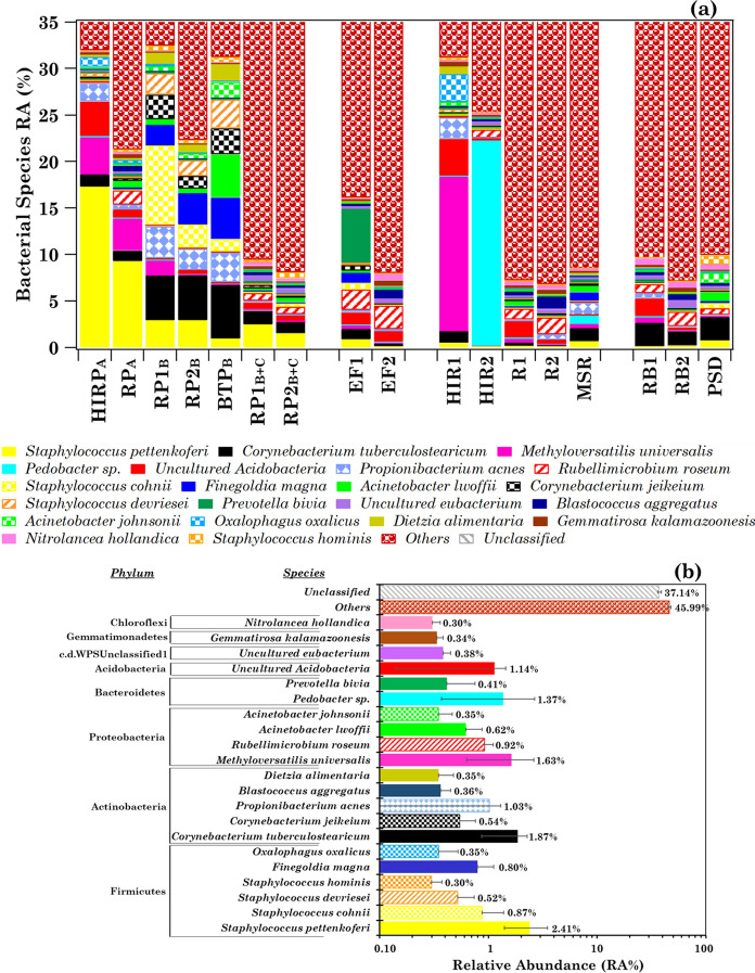 Simultaneous monitoring of SARS-CoV-2 and bacterial profiles from the air of hospital environments with COVID-19-affected patients