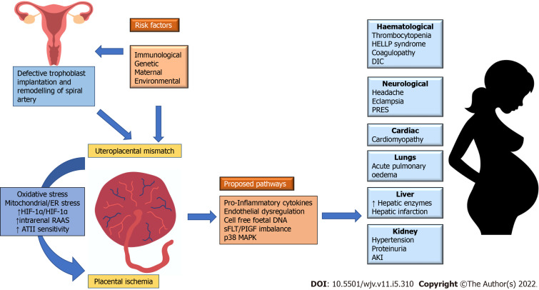 COVID-19 and hemolysis, elevated liver enzymes and thrombocytopenia syndrome in pregnant women - association or causation?