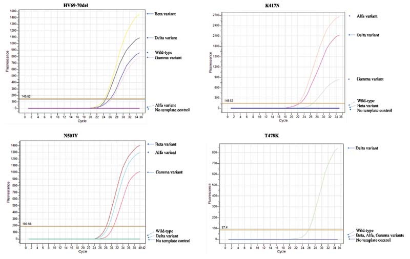 Designing In-House SARS-CoV-2 RT-qPCR Assay for Variant of Concerns.