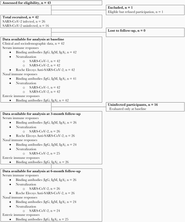 Longitudinal Systemic and Mucosal Immune Responses to SARS-CoV-2 Infection.