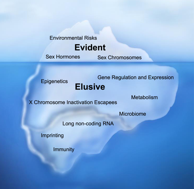 Mechanism of Sex Differences in Bladder Cancer: Evident and Elusive Sex-biasing Factors.