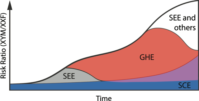 Mechanism of Sex Differences in Bladder Cancer: Evident and Elusive Sex-biasing Factors.