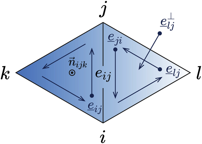 Mem3DG: Modeling membrane mechanochemical dynamics in 3D using discrete differential geometry.