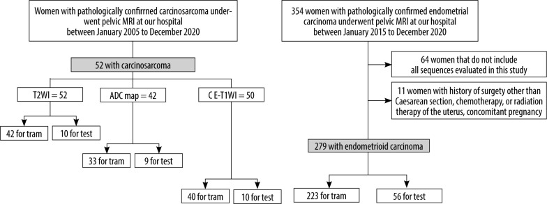 Differentiation of carcinosarcoma from endometrial carcinoma on magnetic resonance imaging using deep learning.