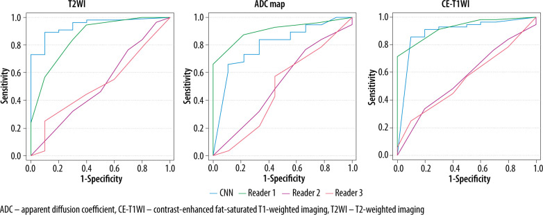 Differentiation of carcinosarcoma from endometrial carcinoma on magnetic resonance imaging using deep learning.