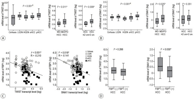 The dual role of transforming growth factor-beta signatures in human B viral multistep hepatocarcinogenesis: early and late responsive genes.