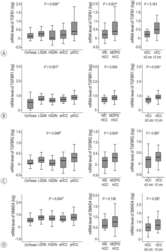 The dual role of transforming growth factor-beta signatures in human B viral multistep hepatocarcinogenesis: early and late responsive genes.