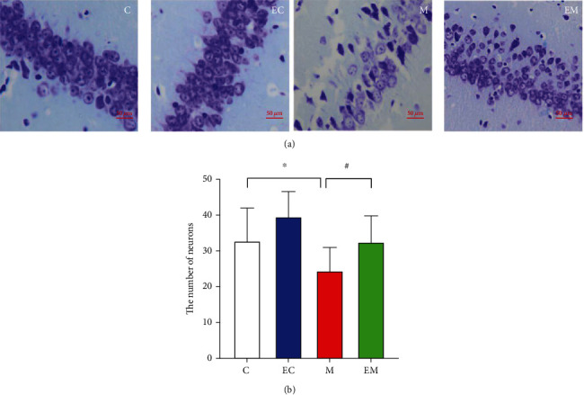 Aerobic Exercise Regulates Apoptosis through the PI3K/Akt/GSK-3<i>β</i> Signaling Pathway to Improve Cognitive Impairment in Alzheimer's Disease Mice.