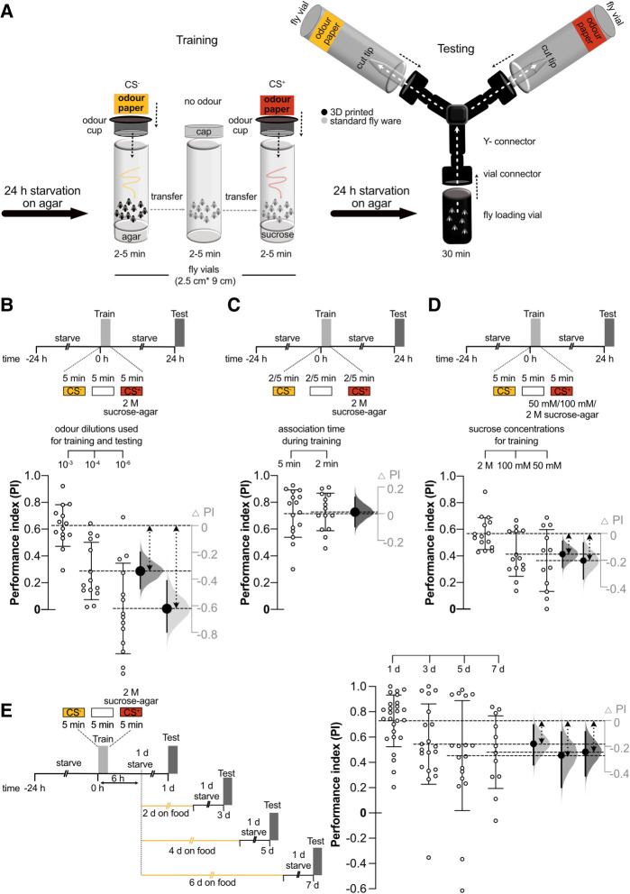 Enhanced olfactory memory detection in trap-design Y-mazes allows the study of imperceptible memory traces in <i>Drosophila</i>.