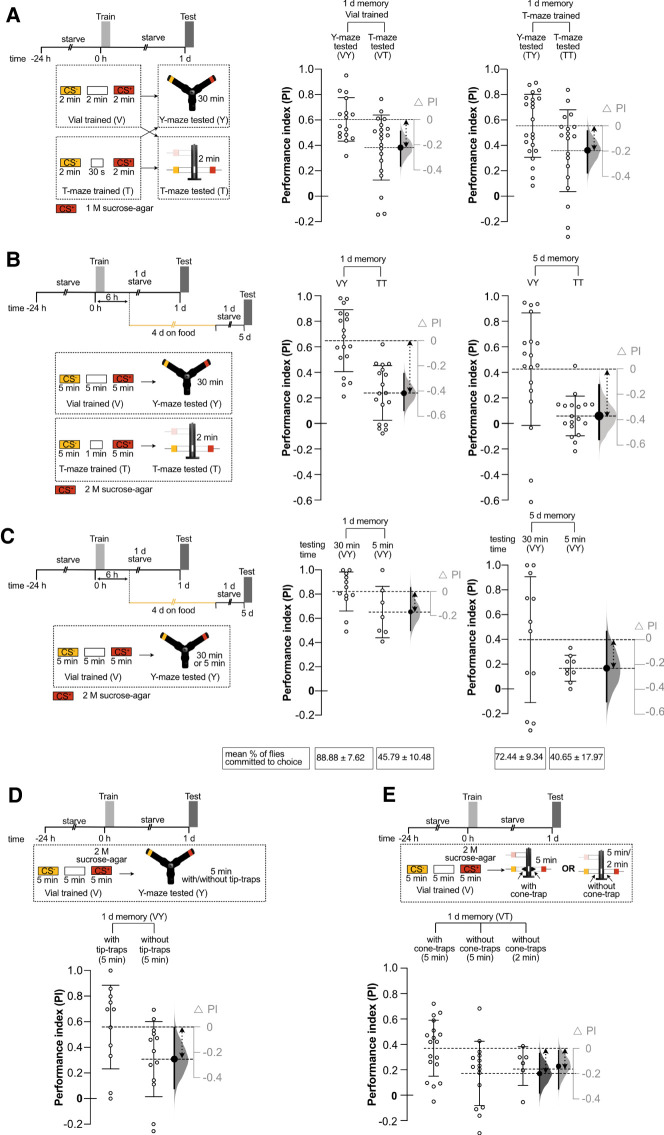 Enhanced olfactory memory detection in trap-design Y-mazes allows the study of imperceptible memory traces in <i>Drosophila</i>.