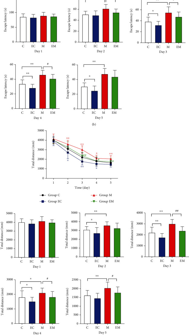 Aerobic Exercise Regulates Apoptosis through the PI3K/Akt/GSK-3<i>β</i> Signaling Pathway to Improve Cognitive Impairment in Alzheimer's Disease Mice.