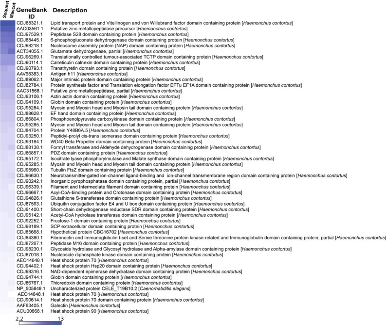 Identification of Somatic Proteins in <i>Haemonchus Contortus</i> Infective Larvae (L<sub>3</sub>) and Adults.