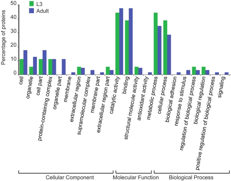 Identification of Somatic Proteins in <i>Haemonchus Contortus</i> Infective Larvae (L<sub>3</sub>) and Adults.