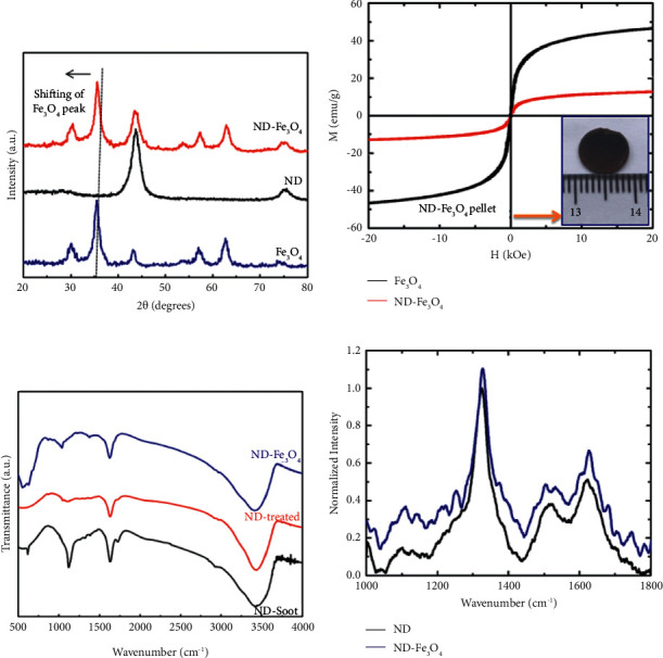 Toxicity Analysis of Hybrid Nanodiamond/Fe<sub>3</sub>O<sub>4</sub> Nanoparticles on <i>Allium cepa</i> L.