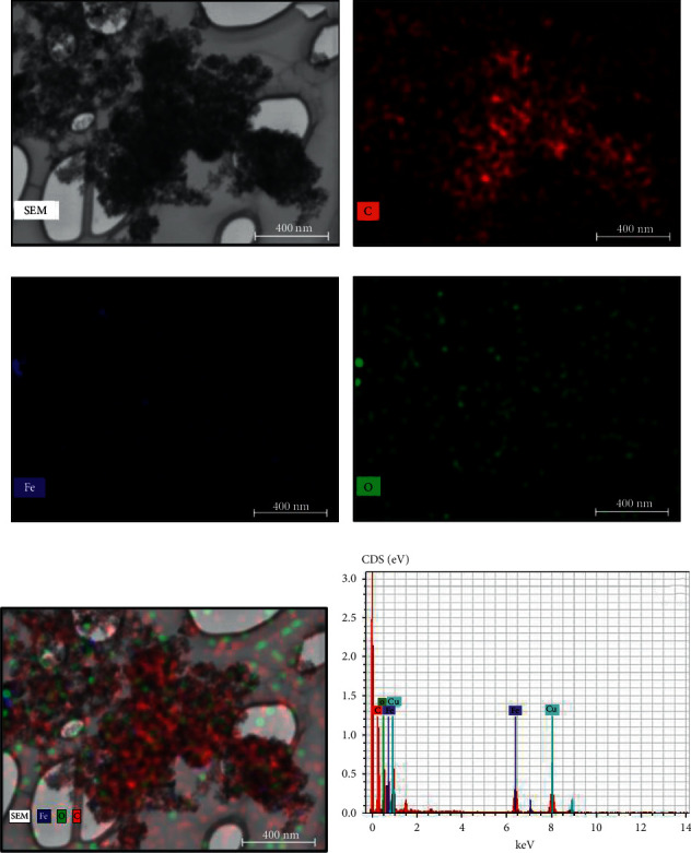 Toxicity Analysis of Hybrid Nanodiamond/Fe<sub>3</sub>O<sub>4</sub> Nanoparticles on <i>Allium cepa</i> L.