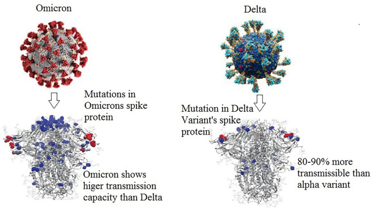 Characteristics of the SARS-CoV-2 Omicron (B.1.1.529) Variant and Emerging Impact on Global Public Health.