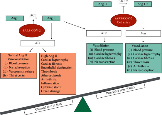 Therapeutic Approaches in COVID-19 Patients: The Role of the Renin-Angiotensin System.