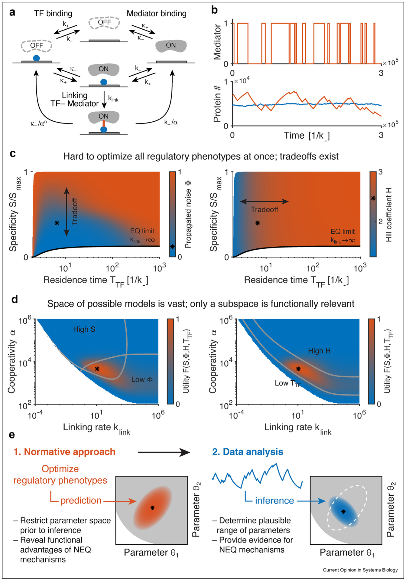 Eukaryotic gene regulation at equilibrium, or non?