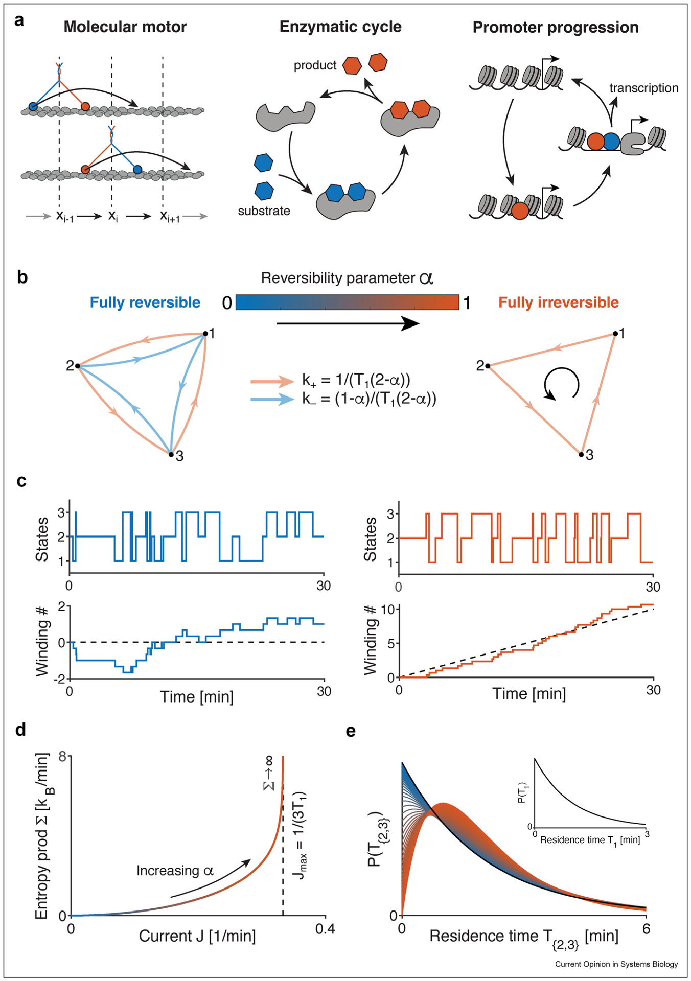 Eukaryotic gene regulation at equilibrium, or non?