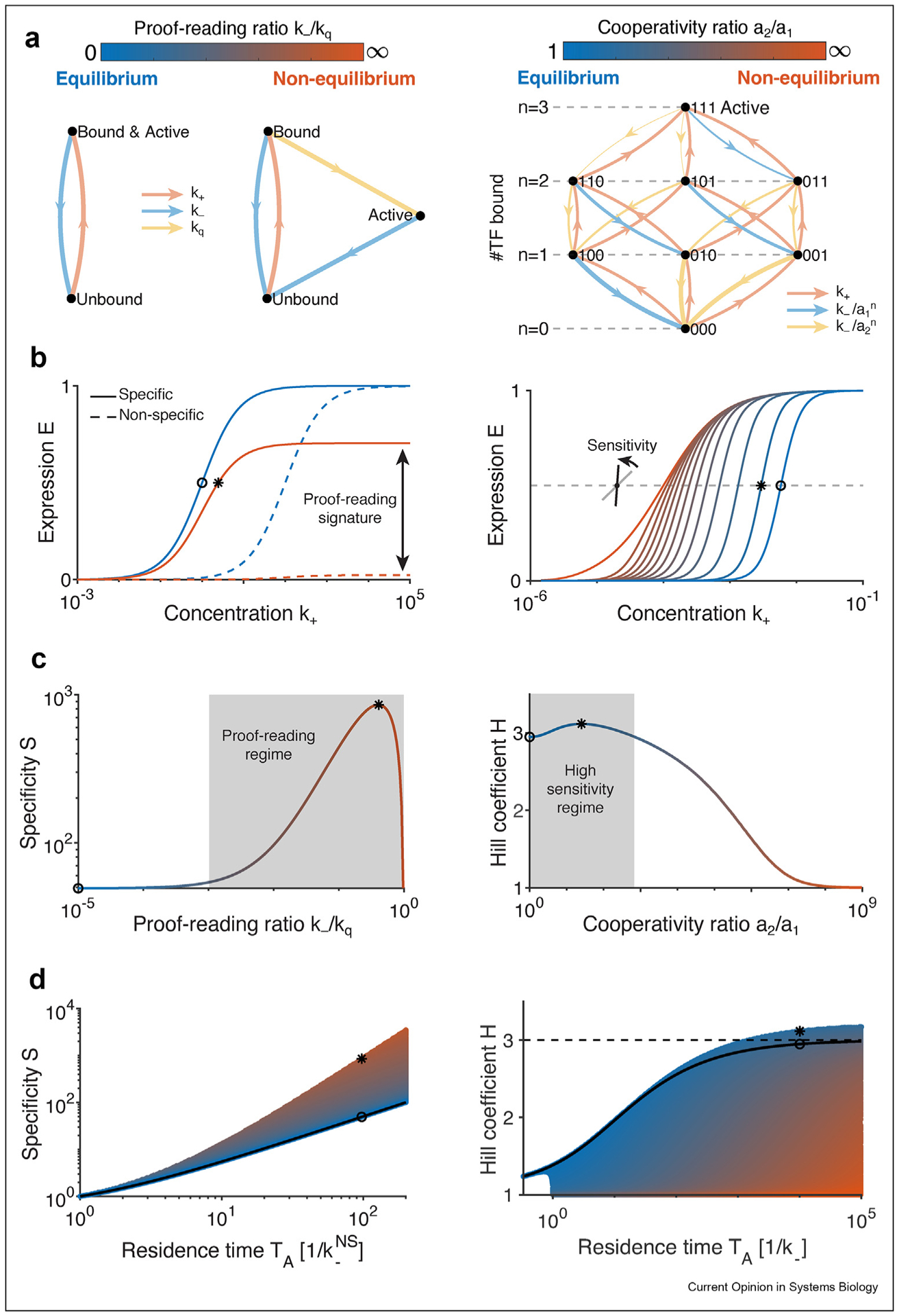 Eukaryotic gene regulation at equilibrium, or non?