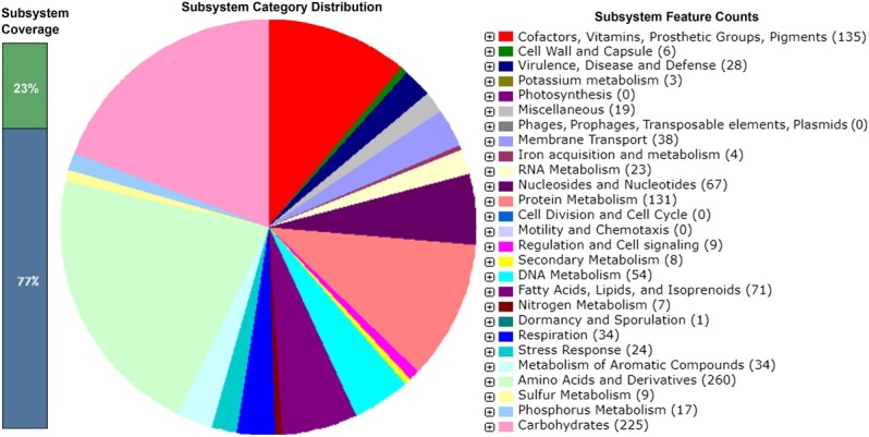 Comparative Genome Analysis of a Novel Alkaliphilic Actinobacterial Species <i>Nesterenkonia haasae</i>.