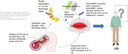 Advances in the study of the relationship between Alzheimer's disease and the gastrointestinal microbiome