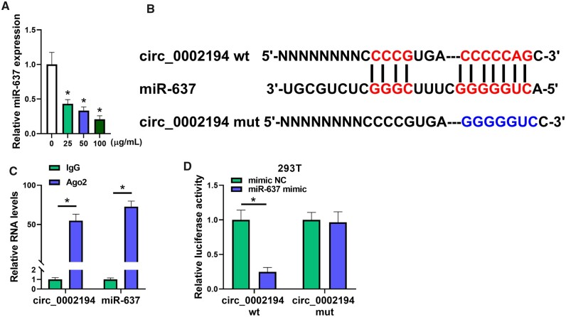 Knockdown of circ_0002194 protects against oxidized low-density lipoprotein-induced cell damage via the regulation of the miR-637/PACS2 axis in human vascular endothelial cells.