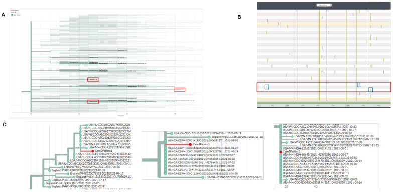 Molecular Epidemiological Investigations of Localized SARS-CoV-2 Outbreaks-Utility of Public Algorithms.