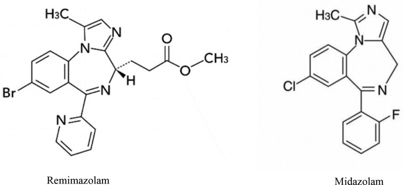 Cardiac Arrest Following Remimazolam-Induced Anaphylaxis: A Case Report.