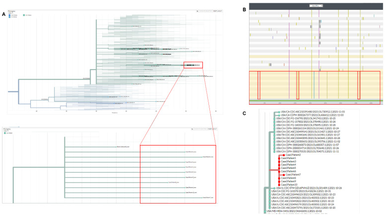 Molecular Epidemiological Investigations of Localized SARS-CoV-2 Outbreaks-Utility of Public Algorithms.