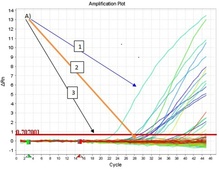 Isolation and Molecular Detection of Marek's Disease Virus from Outbreak Cases in Chicken in South Western Ethiopia.