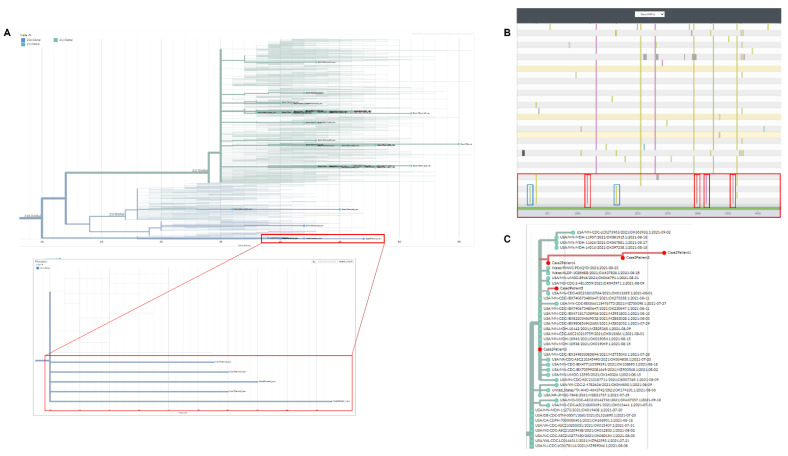 Molecular Epidemiological Investigations of Localized SARS-CoV-2 Outbreaks-Utility of Public Algorithms.