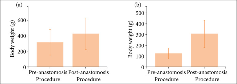 Microsurgical arterial anastomosis in young and adult rats: an evolutive and comparative study.