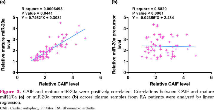 LncRNA cardiac autophagy inhibitory factor is downregulated in rheumatoid arthritis and suppresses the apoptosis of fibroblast-like synoviocytes by promoting the maturation of miRNA-20a.