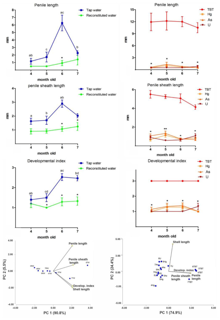 Evaluation of female masculinization in Pomacea canaliculata (Caenogastropoda, Ampullariidae) induced by tributyltin, heavy metals, and uranium in culture water.