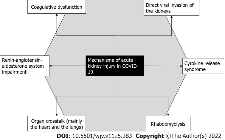 Acute kidney injury and electrolyte disorders in COVID-19.