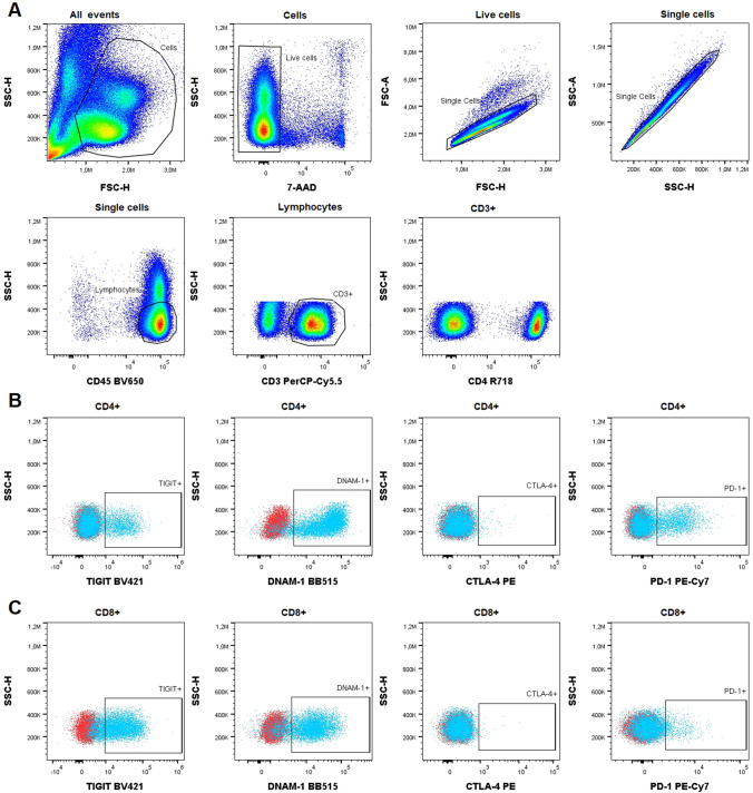 High Expression of the Costimulatory Checkpoint Factor DNAM-1 by CD4<sup>+</sup> T-Cells from Multiple Myeloma Patients Refractory to Daratumumab-Containing Regimens.