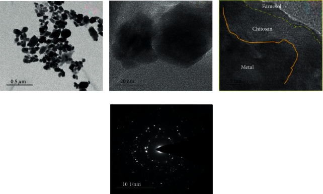 Synthesis of Zinc Oxide (ZnO)-Titanium Dioxide (TiO<sub>2</sub>)-Chitosan-Farnesol Nanocomposites and Assessment of Their Anticancer Potential in Human Leukemic MOLT-4 Cell Line.