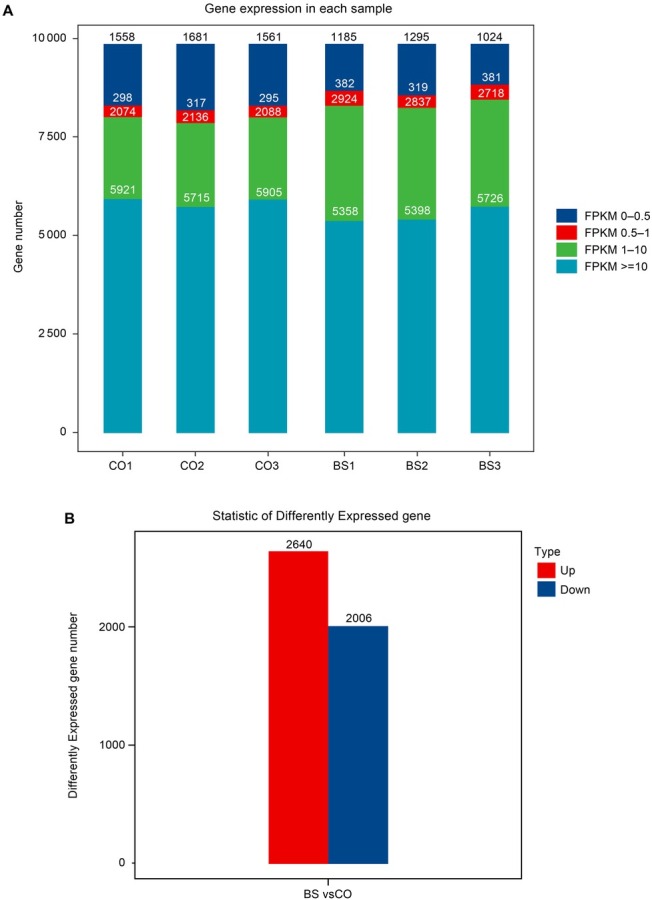 Role of MicroRNA-Like RNAs in the Regulation of Spore Morphological Differences in the Entomopathogenic Fungus <i>Metarhizium acridum</i>.