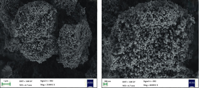 Synthesis of Zinc Oxide (ZnO)-Titanium Dioxide (TiO<sub>2</sub>)-Chitosan-Farnesol Nanocomposites and Assessment of Their Anticancer Potential in Human Leukemic MOLT-4 Cell Line.