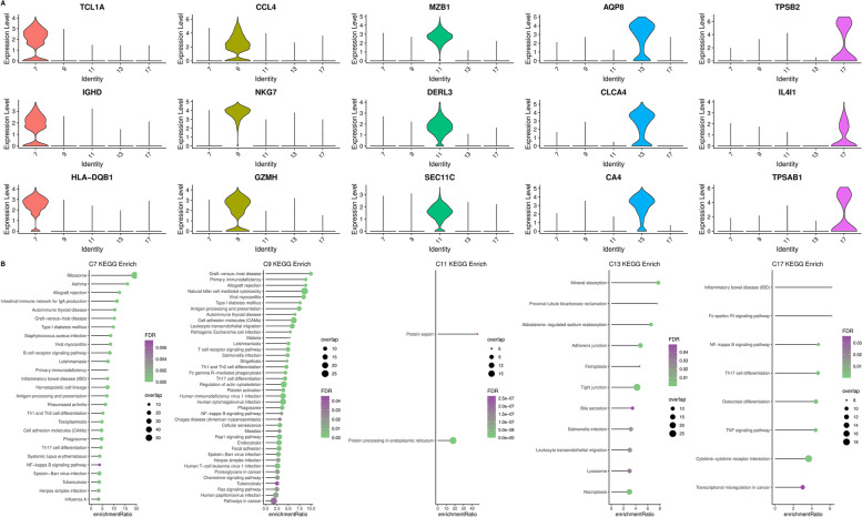 Single-cell and WGCNA uncover a prognostic model and potential oncogenes in colorectal cancer.