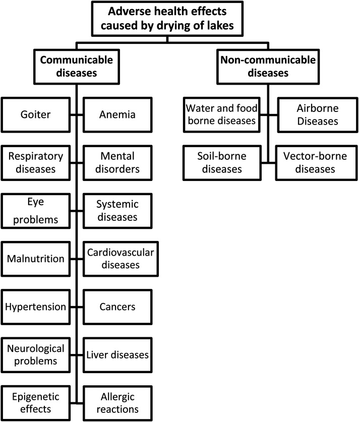 Designing a Surveillance System to Monitor the Adverse Health Effect of Environmental Disasters: A Case Study of Drying Lake Urmia-Iran.