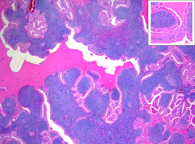 Abstract Image