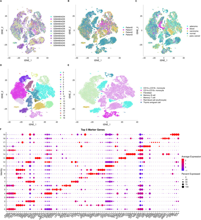Single-cell and WGCNA uncover a prognostic model and potential oncogenes in colorectal cancer.