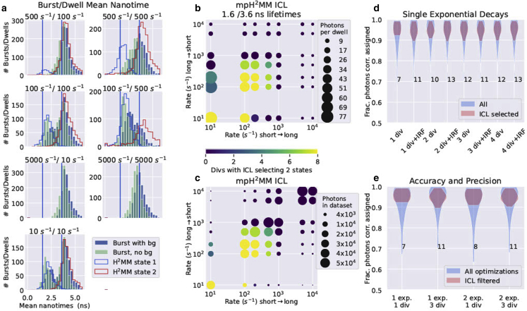 Identification and quantification of within-burst dynamics in singly labeled single-molecule fluorescence lifetime experiments.