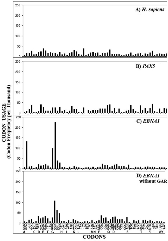 The Role of Codon Usage, tRNA Availability, and Cell Proliferation in EBV Latency and (Re)Activation.